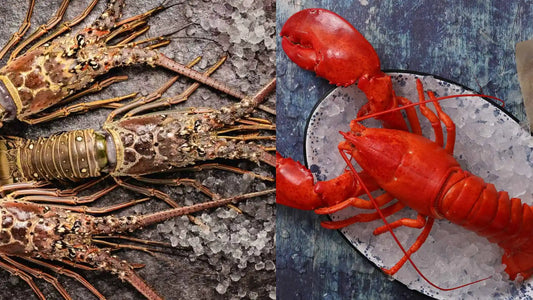 Discover the key flavor differences between Florida Spiny Lobster and Maine Lobster. Compare taste, texture, and cooking uses in this seafood showdown.