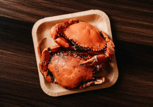 How to Keep Stone Crab Claws Warm and Fresh