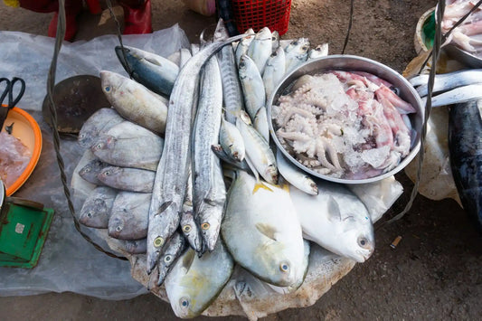 Explore the freshest local fish Key Largo market has to offer, daily catches, sustainable seafood, and expert tips for bringing ocean flavor to your table.