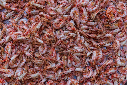 Sustainable Shrimp Dining in Key Largo’s Fresh Approach