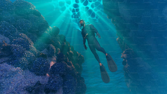 Reef Protection for Fish in Key Largo