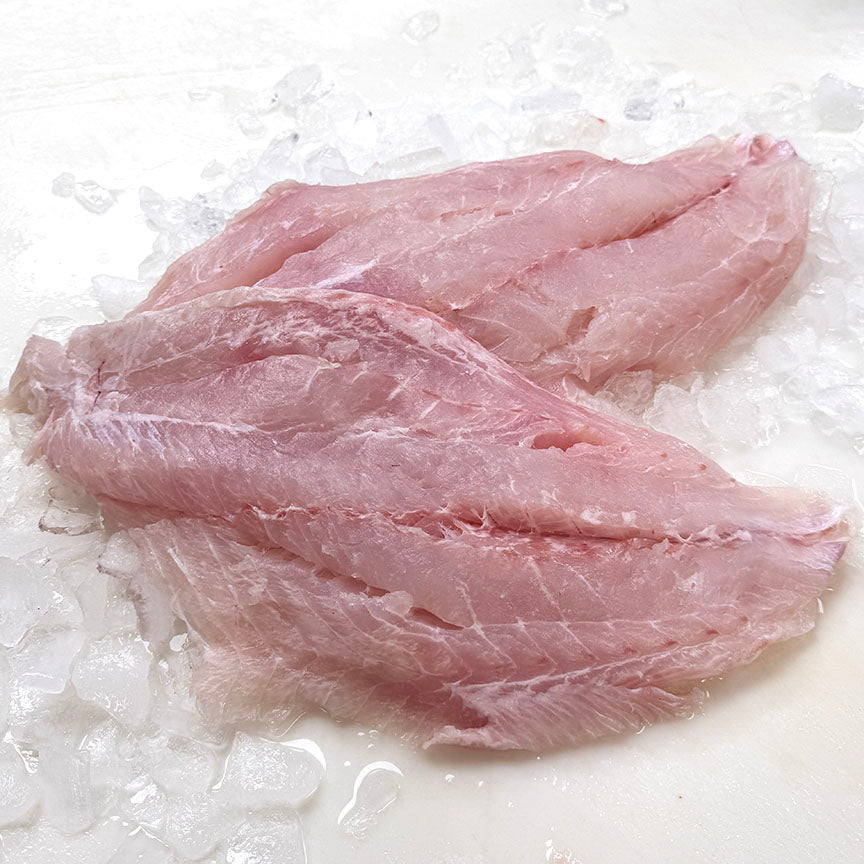 Grouper Fillet - Fresh
