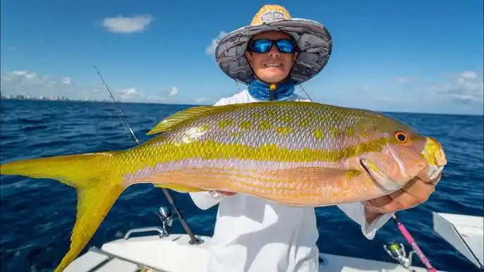 Freshly Frozen Yellowtail Snapper