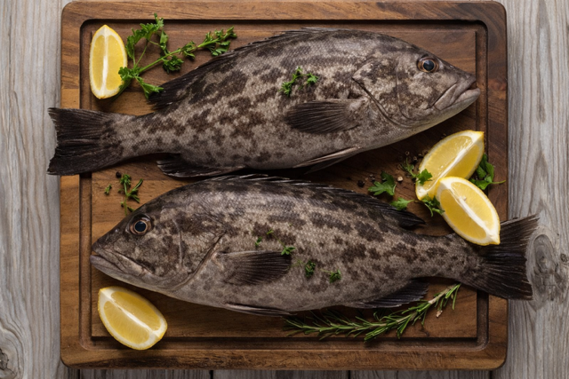 Grouper Fillet - Fresh