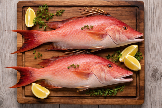 Hogfish Fillet - Fresh