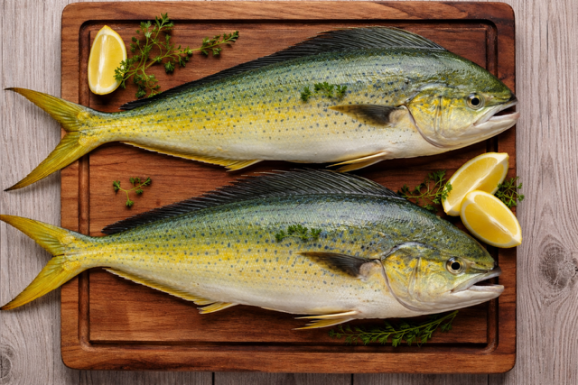 Mahi Mahi Fillet - Fresh