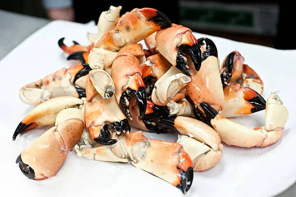 Exploring the Florida Stone Crab Sustainability Harvesting
