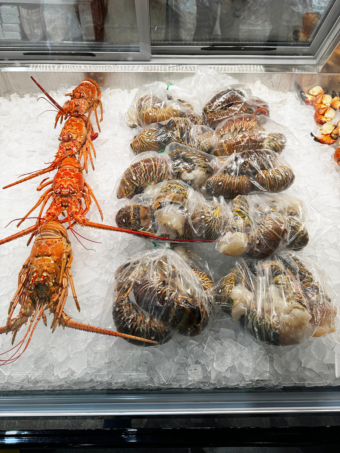 Spiny Lobster History in Key Largo’s Fishing Heritage