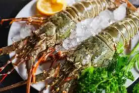 Embark on a spiny lobster tasting tour in Key Largo: savor top restaurants, charters, and sights for an irresistible Florida Keys culinary adventure.