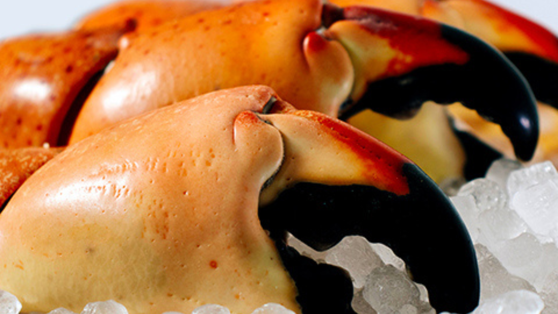 buy stone crab online