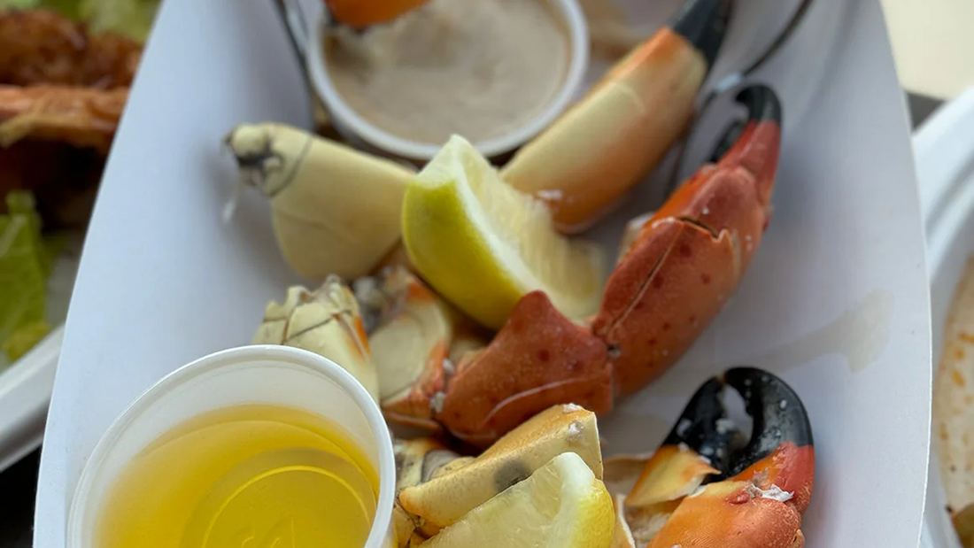 Stone Crab Nutrition: The Secret to Winter Wellness in the Florida Keys