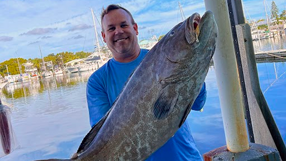 Reef Protection for Fish in Key Largo
