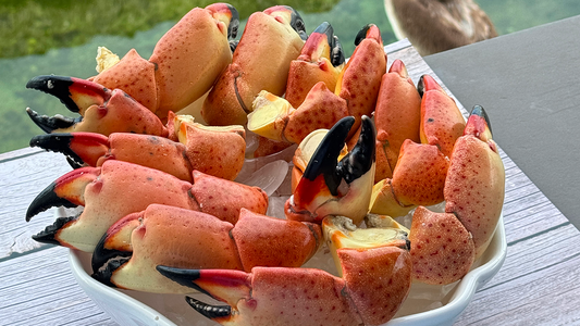 Step-by-Step Guide to Preparing Florida Stone Crab Claws in Your Kitchen