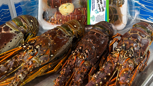 Florida Spiny Lobster or Maine Lobster: Which Tastes Better?