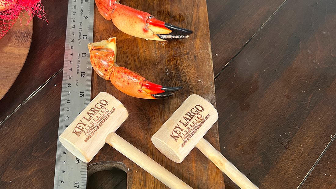 Key Largo Leads in Sustainable Stone Crab Harvesting