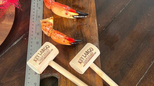 Key Largo Leads in Sustainable Stone Crab Harvesting