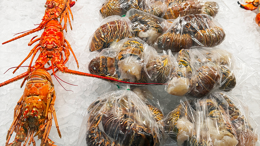 Spiny Lobster History in Key Largo’s Fishing Heritage