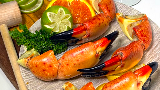 Stone Crab Wine Pairing Secrets Every Florida Keys Foodie Should Know