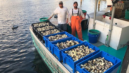 Sustainable Stone Crab Fishing in the Florida Keys: A Model for Responsible Seafood
