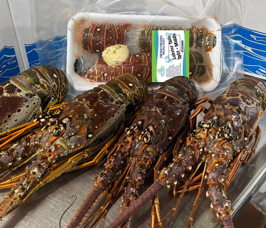 Florida Spiny Lobster or Maine Lobster: Which Tastes Better?