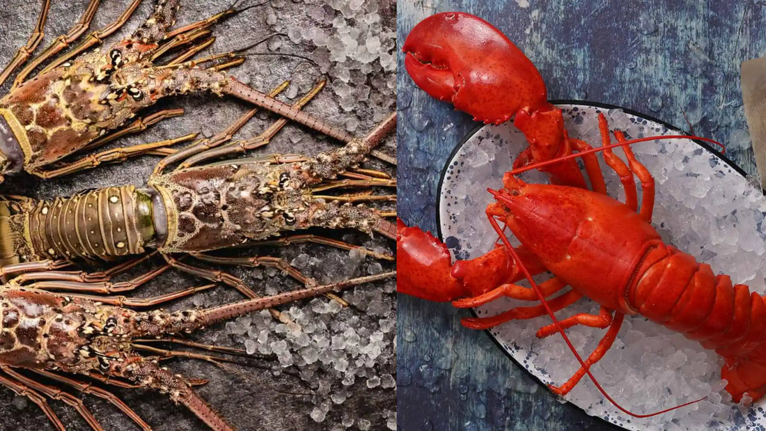 Discover the key flavor differences between Florida Spiny Lobster and Maine Lobster. Compare taste, texture, and cooking uses in this seafood showdown.