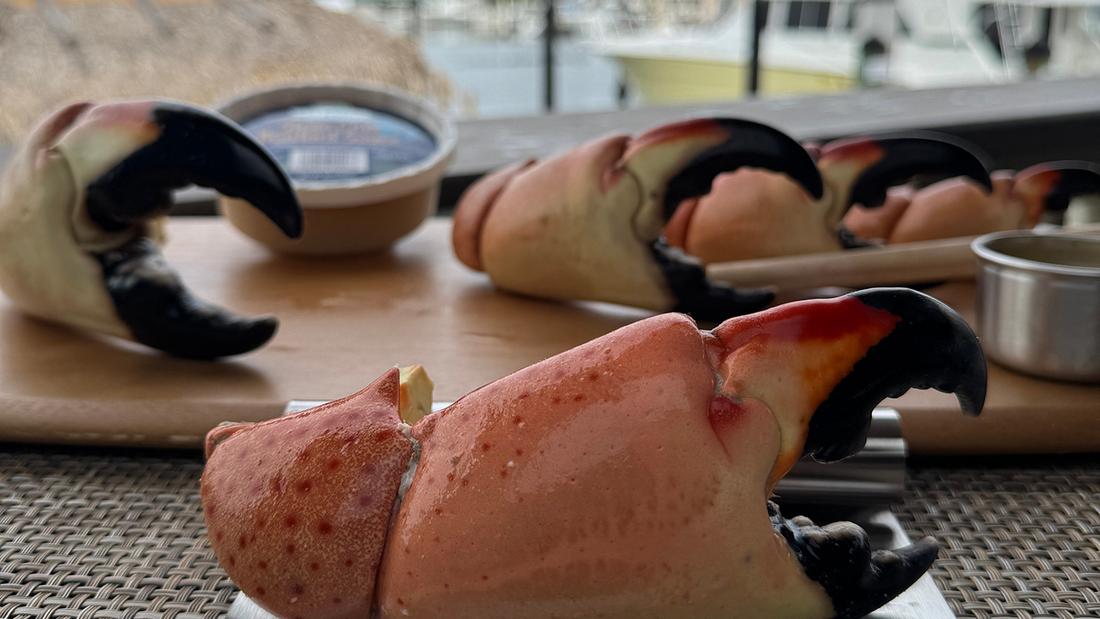 From Sea to Table: The Journey of Stone Crab Claws at Key Largo Fisheries
