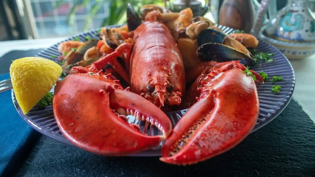 Key Largo pioneers sustainable stone crab harvesting with regenerative methods and strict rules, safeguarding Florida Keys seafood for generations.