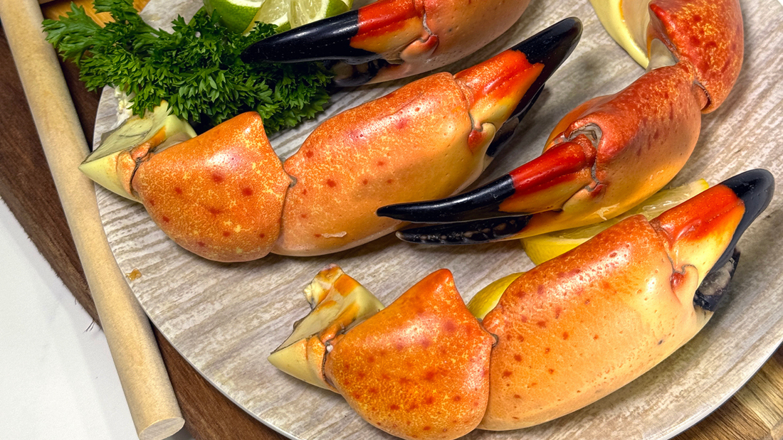 Learn how Key Largo Fisheries keeps Stone Crab Claws fresh with expert storage, careful packing, and with expert storage, secure packing, and overnight shipping—fresh from the Florida coast to your door.