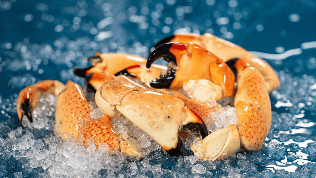 How to Crack Stone Crab Claws