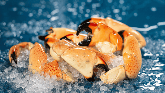 How to Crack Stone Crab Claws