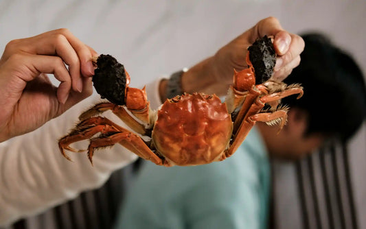 Learn how to keep stone crab claws warm and fresh, pair them with the perfect sides, and order premium seafood online from Key Largo Fisheries.