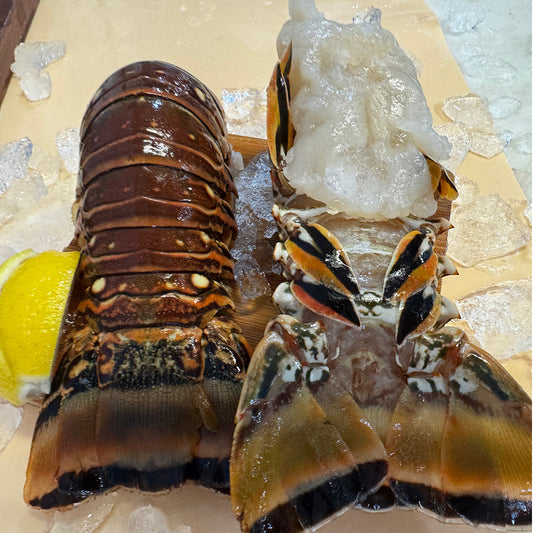 Eco-Friendly Spiny Lobster Harvesting in Key Largo’s Waters