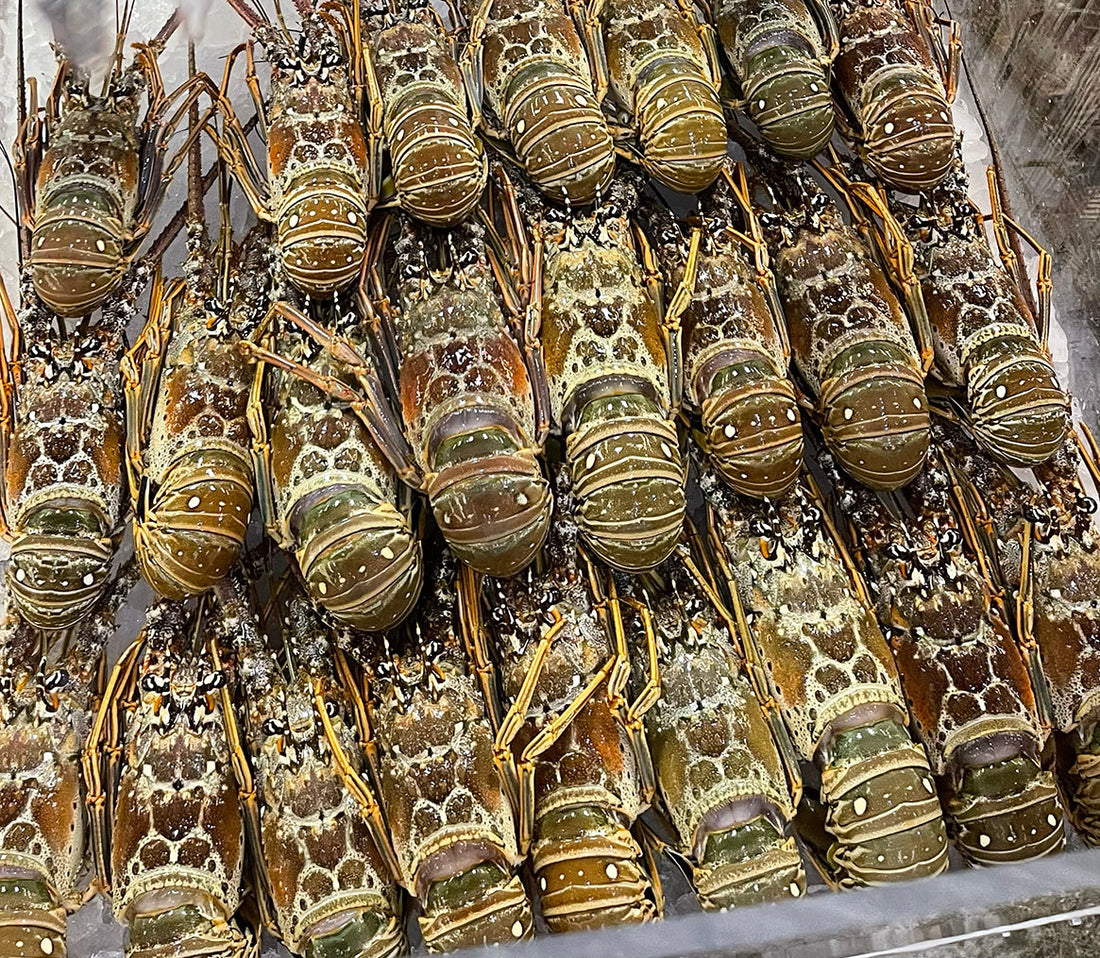 Grilled Florida lobster tails topped with key lime butter