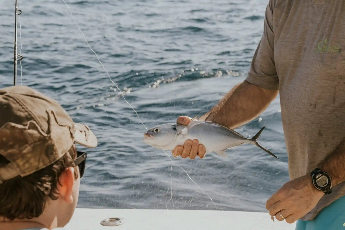 Local Bait is a Game-Changer in the Florida Keys