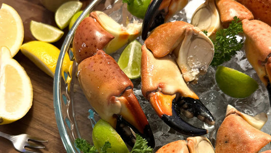  Fresh Florida Stone Crab Claws for Your Next Dinner