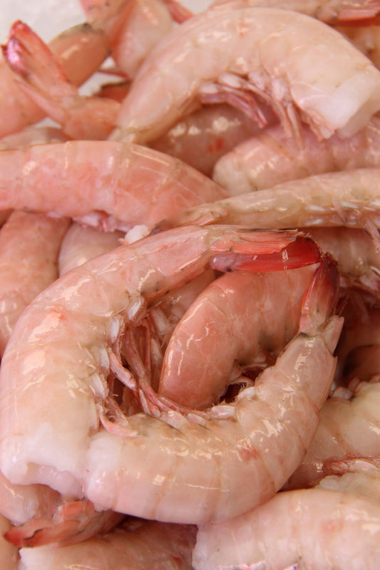 Sustainable Shrimp Dining in Key Largo’s Fresh Approach