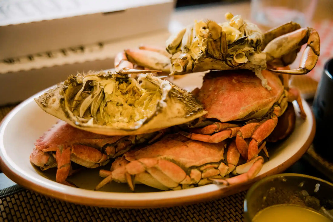 Learn how to prepare Florida Stone Crab Claws at home with step-by-step tips on boiling, steaming, and serving for the perfect coastal meal experience.