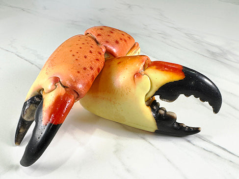 What Is Refreshed Stone Crab? Understanding How It’s Prepared and Why It Tastes So Fresh