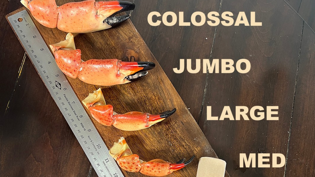 Stone Crab Size Guide Medium vs Large vs Jumbo Claws Key Largo Fisheries