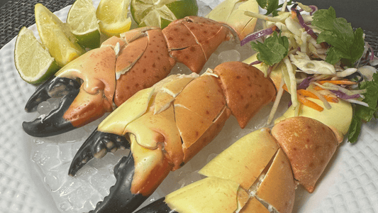Stone Crab: The Seafood That Grows Its Claw Back