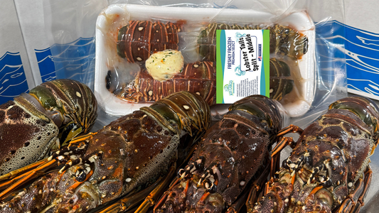 Stone Crab vs. Spiny Lobster