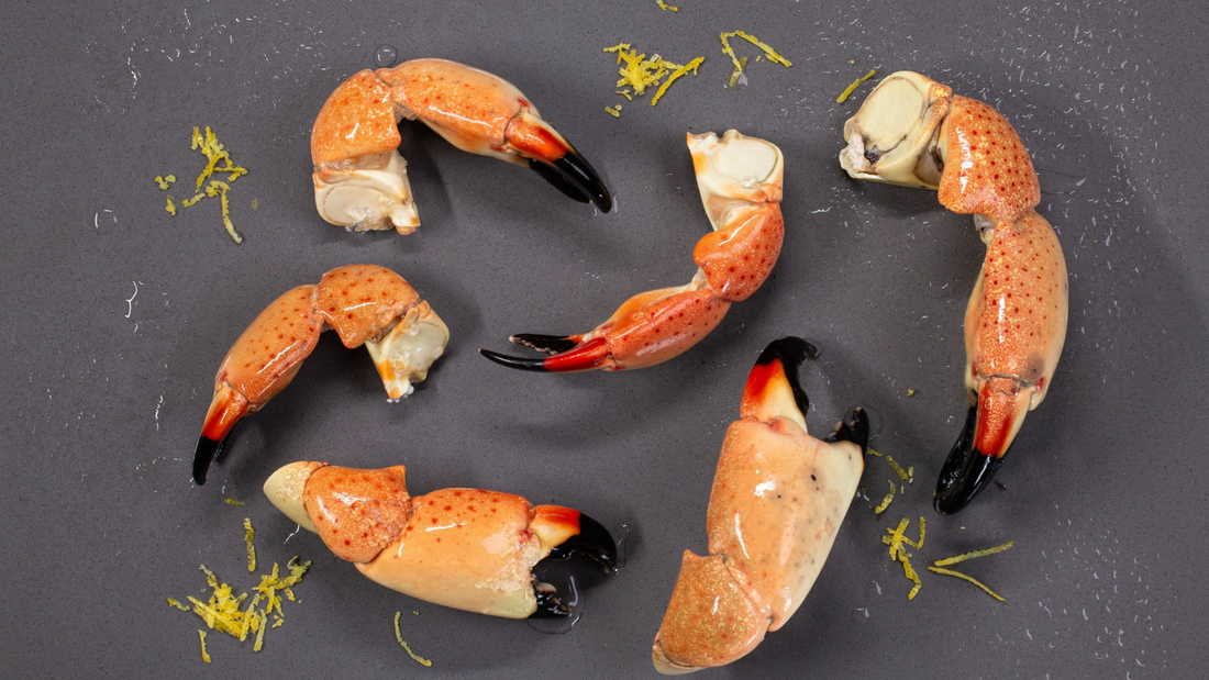 The Stone Crab Season Countdown: When to Order & Why Timing Is Everything