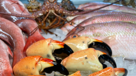 Florida stone crab season