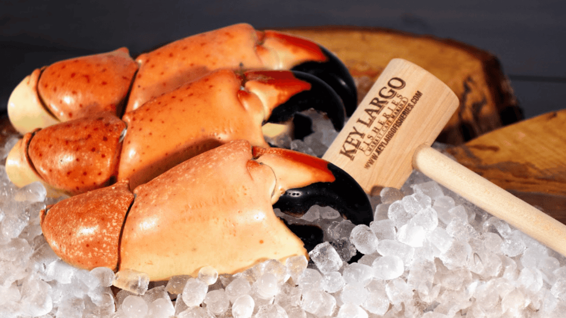 Florida Stone Crab Season 2026-2027 | When It Starts 