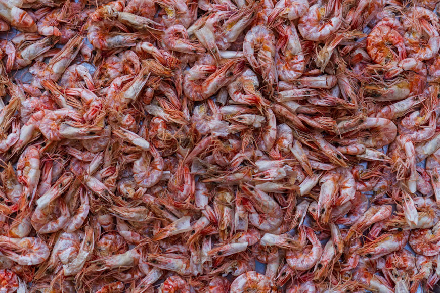  Sustainable Shrimp Dining in Key Largo’s Fresh Approach