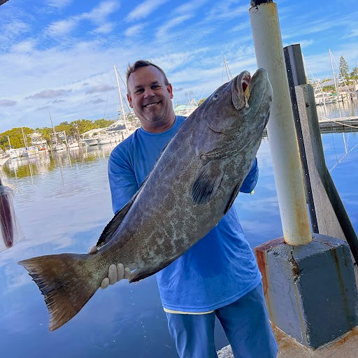 Reef Protection for Fish in Key Largo