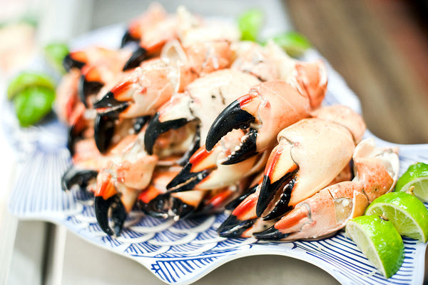 Jumbo Florida Stone Crab Claws (Fresh)