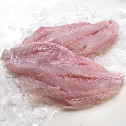Grouper Fillet - Fresh