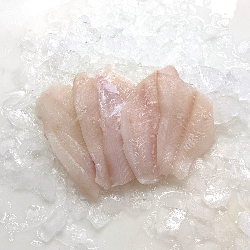 Freshly Frozen Hogfish 8oz Portion