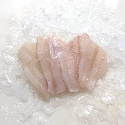 Freshly Frozen Hogfish 8oz Portion